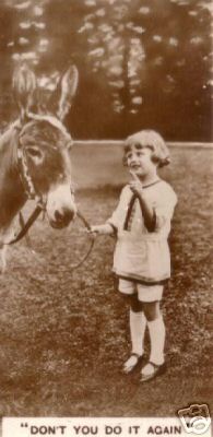 1930DonkeyGirlTradingCard.jpg